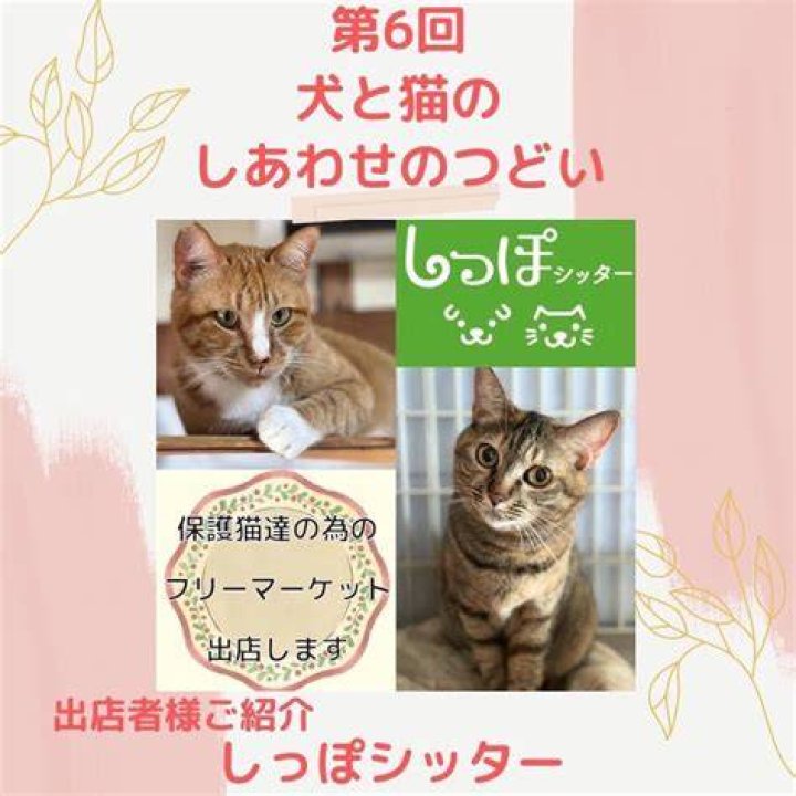 しあわせ サポート 犬 猫 部
